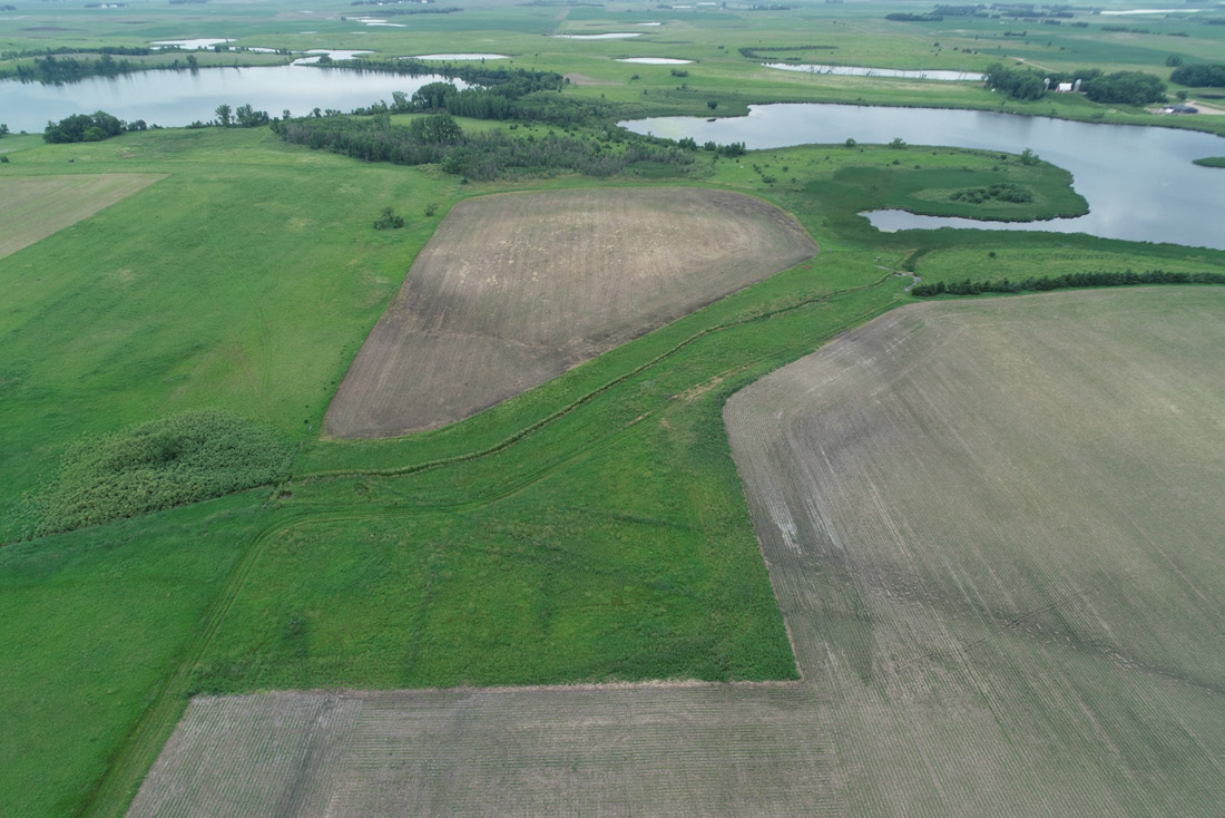 Aerial view of newly protected habitat in Murray County.